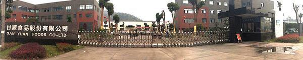甘源炒貨機(jī)電安裝案例